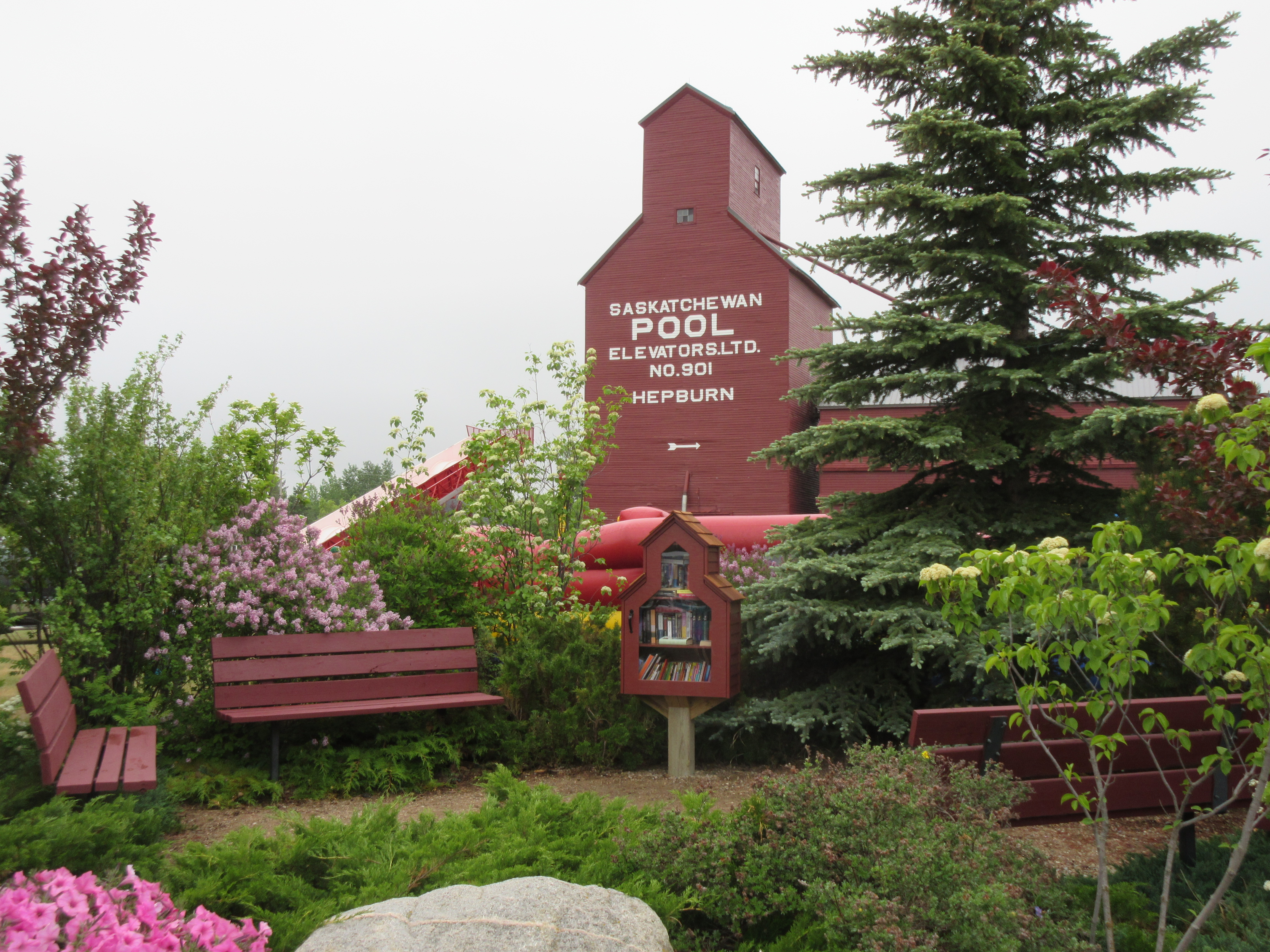 Little Free Library